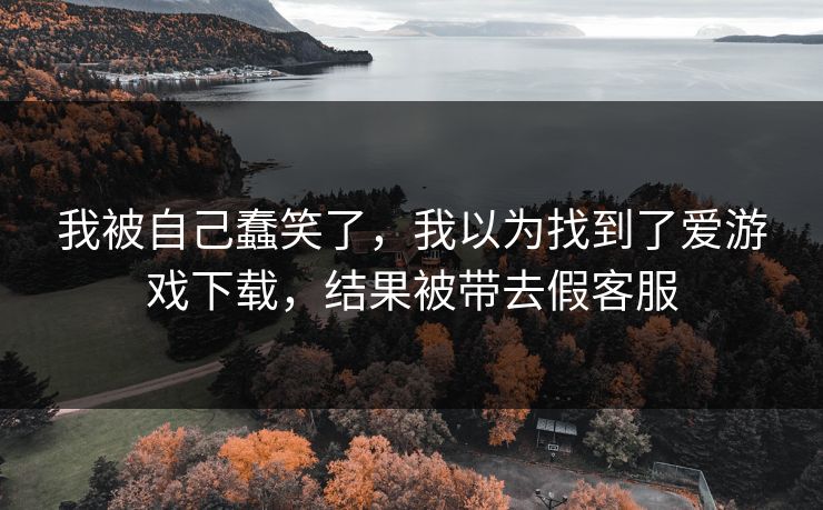 我被自己蠢笑了，我以为找到了爱游戏下载，结果被带去假客服