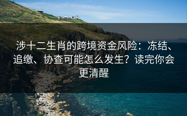 涉十二生肖的跨境资金风险：冻结、追缴、协查可能怎么发生？读完你会更清醒